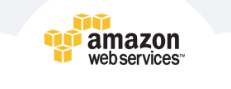 Amazon Web Services (AWS) AI Solutions.png
