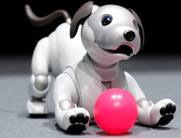 What Is the Best AI Robot Pet in 2025?
