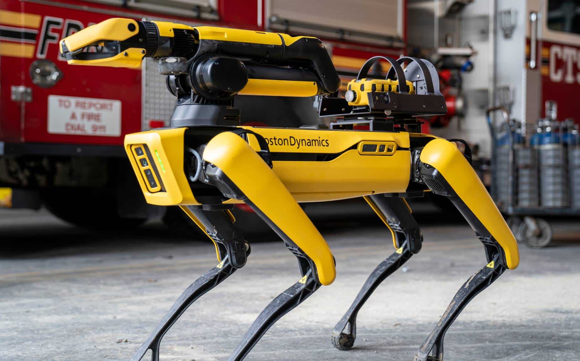 Are Robot AI Dogs Worth the Price? A Breakdown of Cost and Value