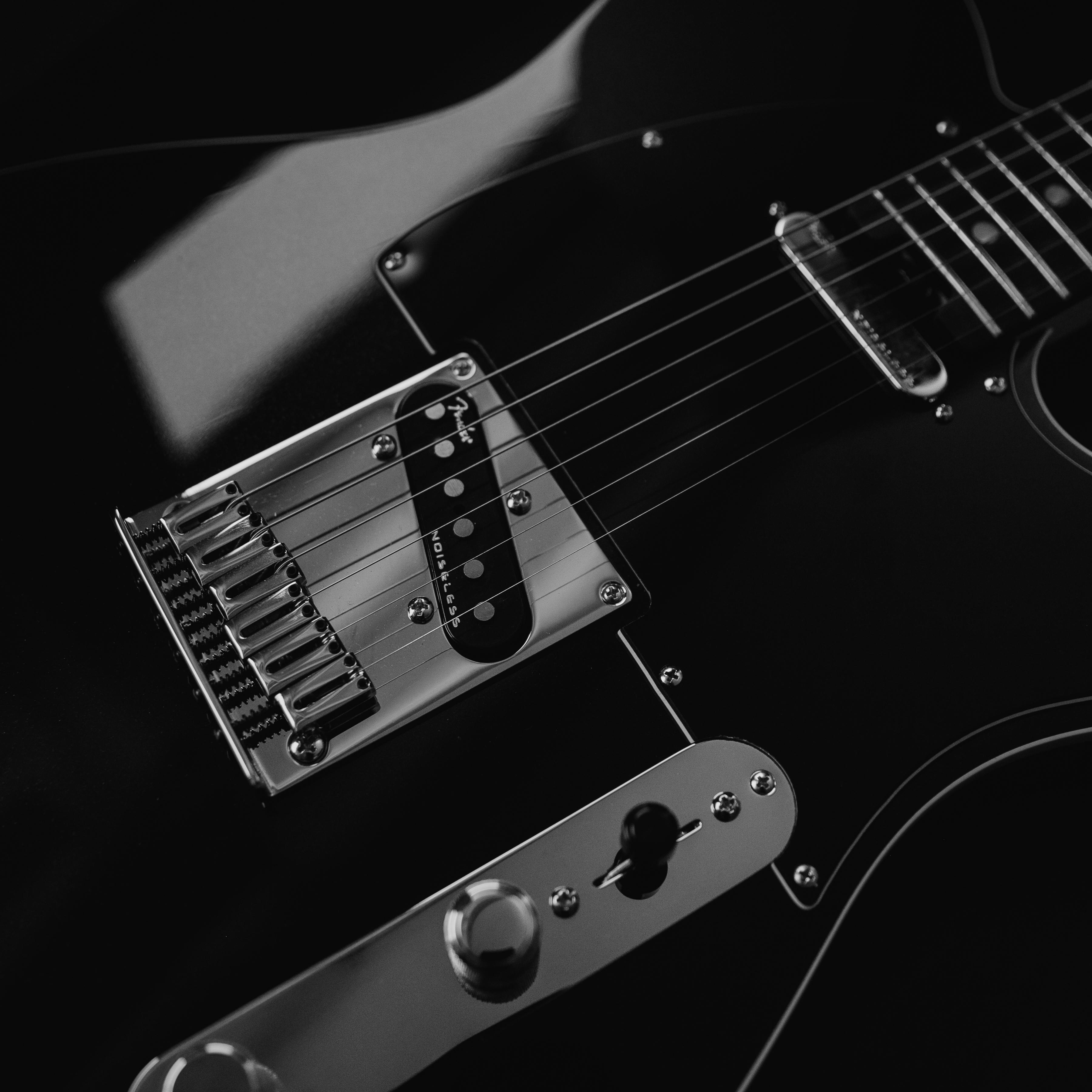 pexels-dylanspangler-10025288.jpg