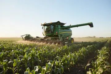 AI Reduces Crop Losses by 18% Through Precision Agriculture.jpg
