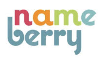 NameBerry logo.png