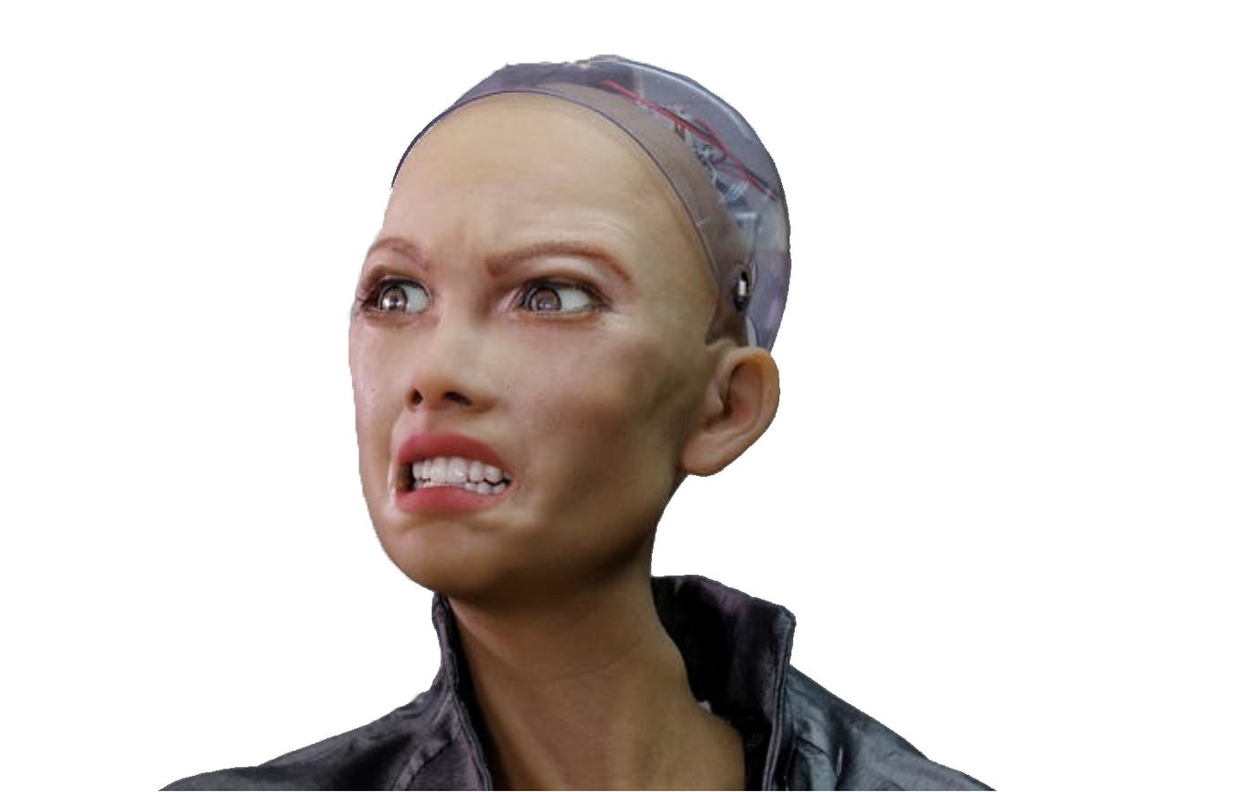 Why the ai sophia robot is Considered Dangerous 