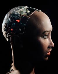 sophia artificial intelligence robot Dome.jpg