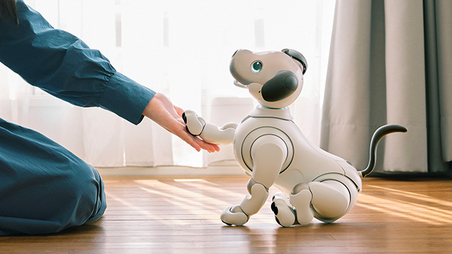 What Can Robot Dog Artificial Intelligence Do? Unlocking Next-Gen Canine Tech 