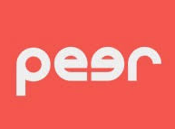 PeerReview.AI logo.png