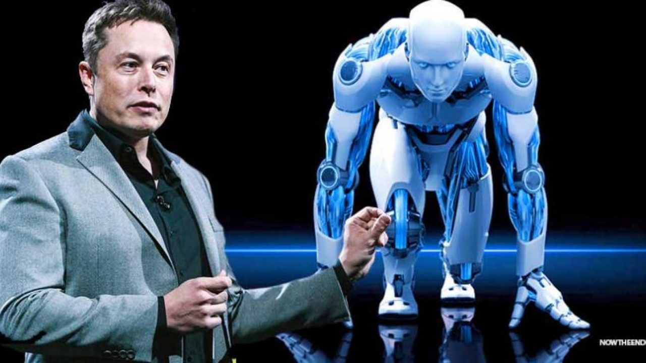 Everything You Need to Know About Elon Musk and Ai!