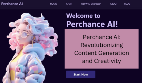 Who Runs the Perchance AI