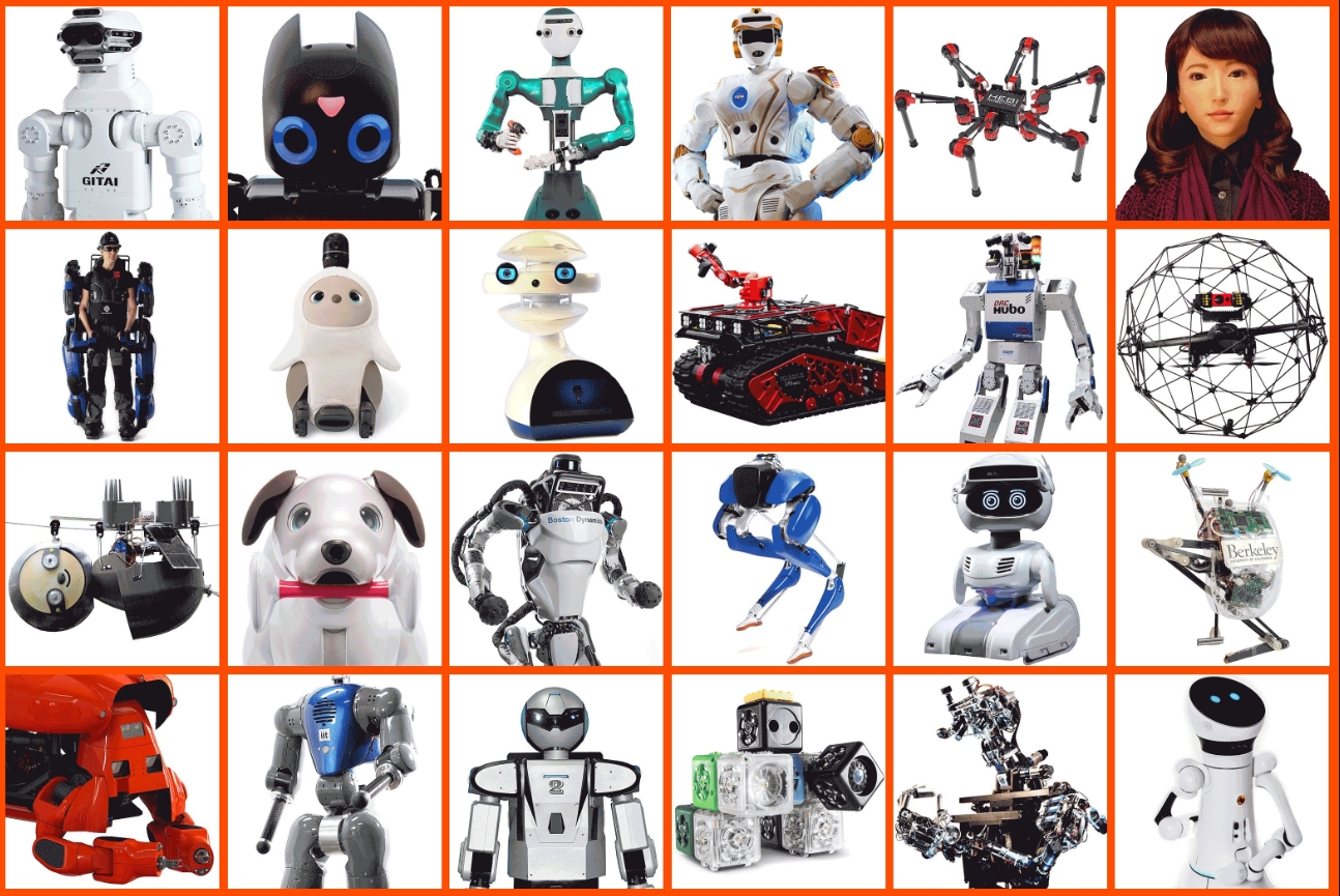 From Myth to Reality: Exploring the Diverse Family of Robots and Their Impact on Our World