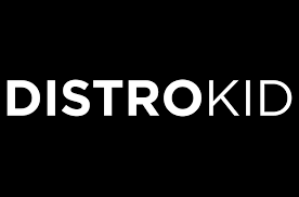 Can You Release AI Music on DistroKid? A 2025 Guide for Independent Artists