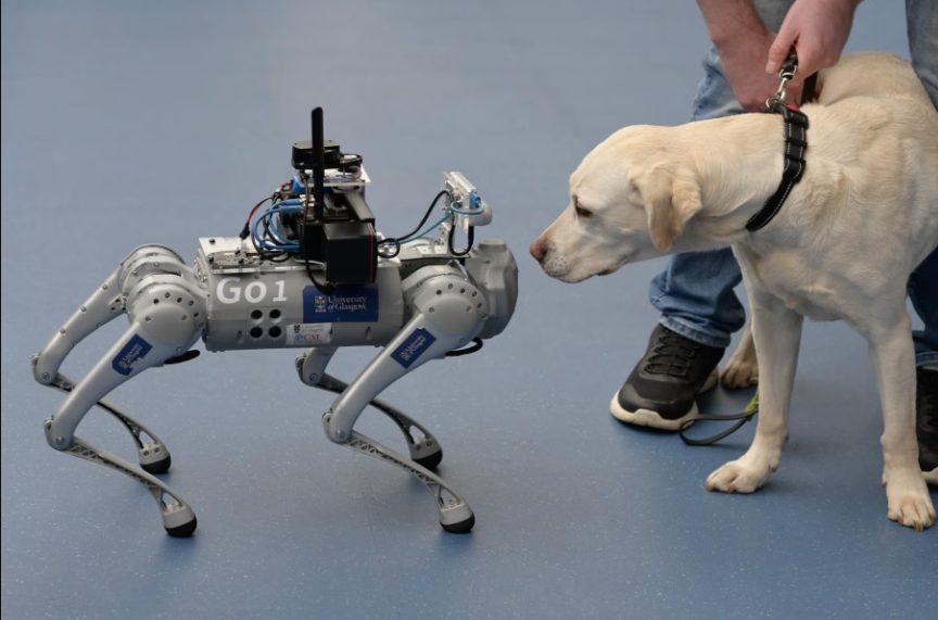 From Sci-Fi to Reality: The Talking Robot Dogs