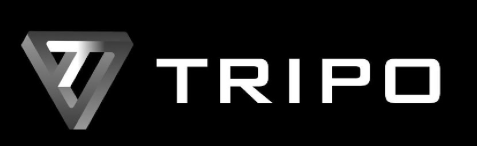 VAST Tripo AI 3D Modeling: Revolutionary Text-to-3D Generation in Under One Second