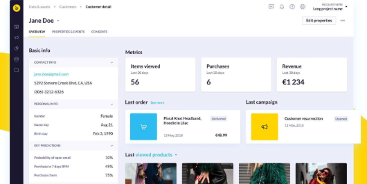 How Bloomreach AI Tools Drive Revenue Through Intelligent Customer Experiences