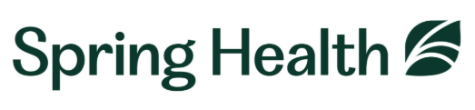 Spring Health AI Tools: Precision Mental Healthcare for Enterprise Employees