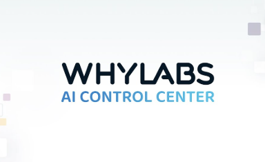 How WhyLabs' Advanced AI Tools Ensure Continuous Data Quality