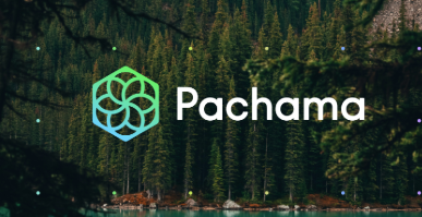 Pachama: AI Tools Revolutionize Carbon Credit Verification