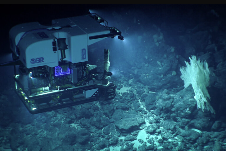 Unveiling the Ocean's Secrets: What Do Underwater Research Robots Really Do?