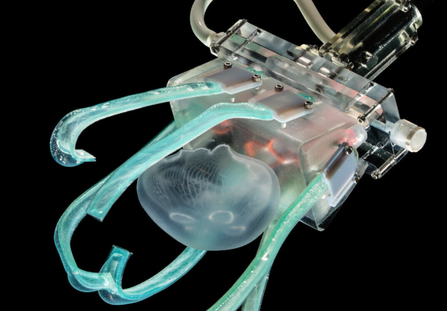 Underwater Soft Robots: How Squishy Robots Are Revolutionizing Ocean Exploration