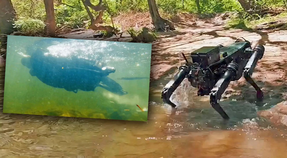 Meet the Marine Robot Dog: Your Ultimate Guide to Robo-Sea Explorers