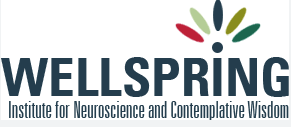 WiseBrain Neuro AI Tools: Intelligent EEG Abnormal Event Detection and Neural Pattern Analysis