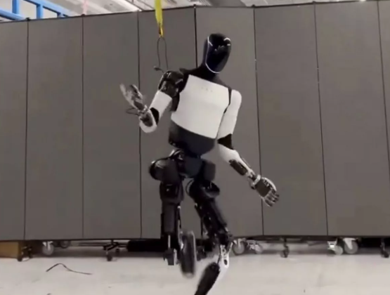 Dancing Tesla Robot: When AI Elegance Meets Mechanical Swagger
