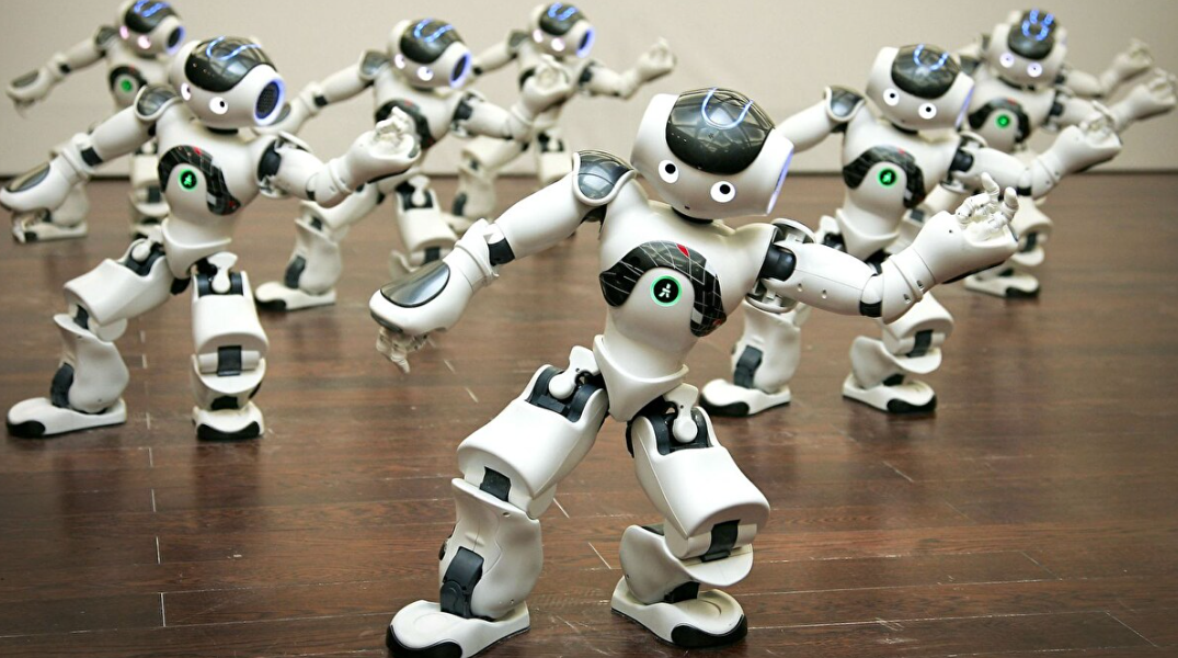 Entertainment Robot: Beyond Playthings to AI-Powered Companionship