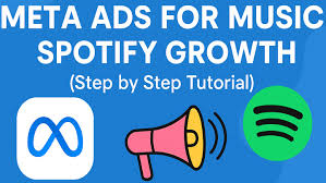 meta conversion campaign for spotify.jpg
