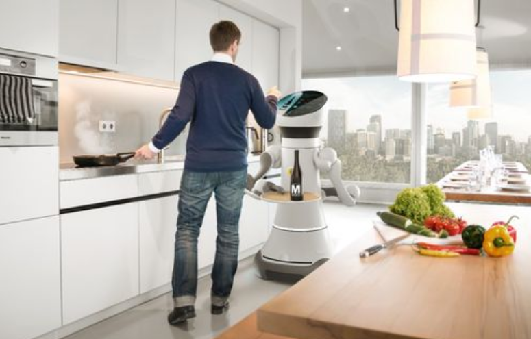  Beyond Chores: The Unseen Emotional Role of Your Personal Service Robot